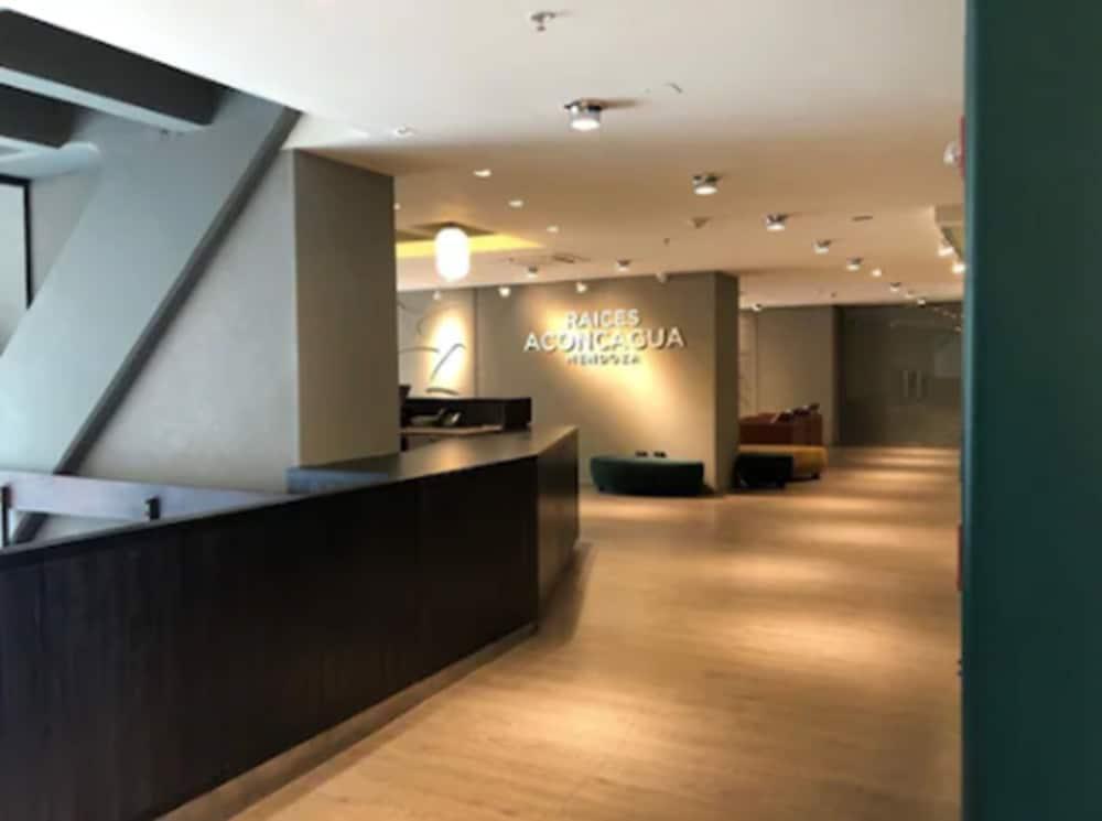 Hotel Raices Aconcagua 4*